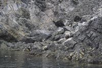 
DSC00184